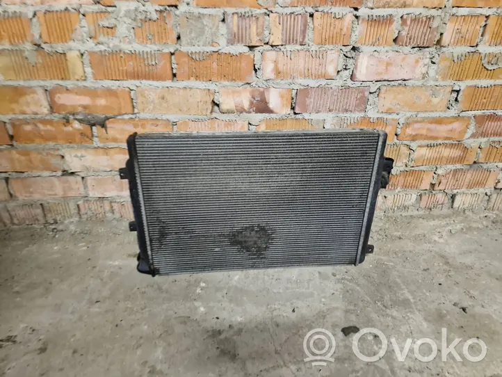 Volkswagen PASSAT B6 Radiateur de refroidissement 