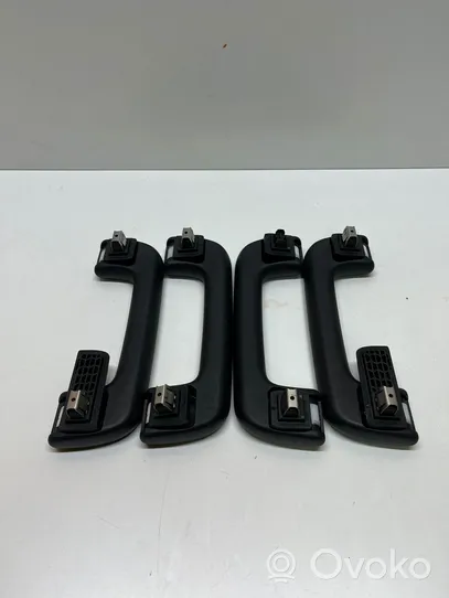 Audi Q8 Haltegriff hinten 8W0857608