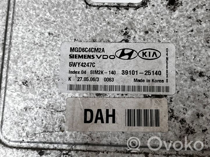 KIA Optima Calculateur moteur ECU 3910125140