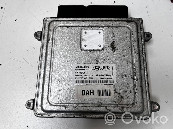 KIA Optima Calculateur moteur ECU 3910125140