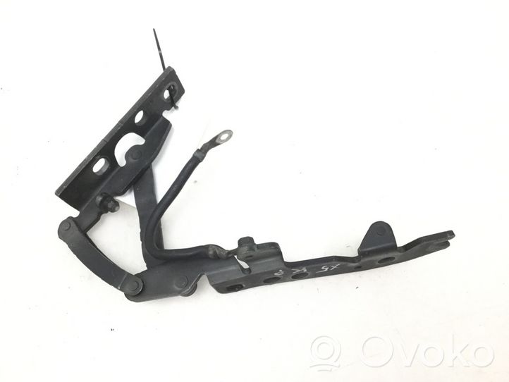 BMW X5 E53 Cerniere del vano motore/cofano 8402173