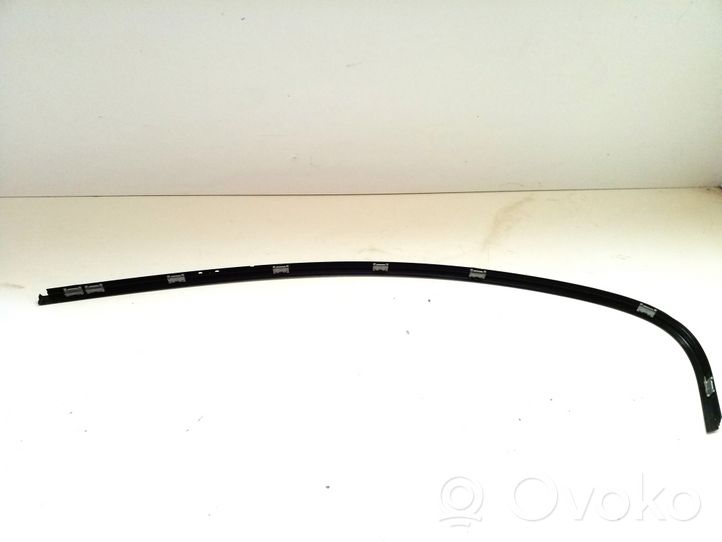 BMW 5 E60 E61 Rear door trim (molding) 