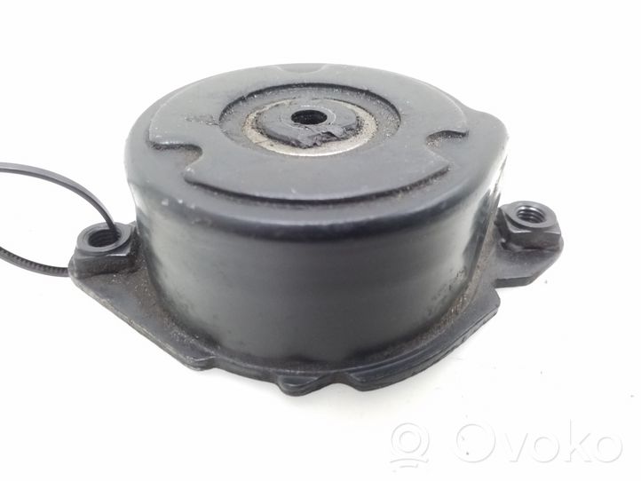 BMW 3 E46 Timing belt/chain tensioner 7787371