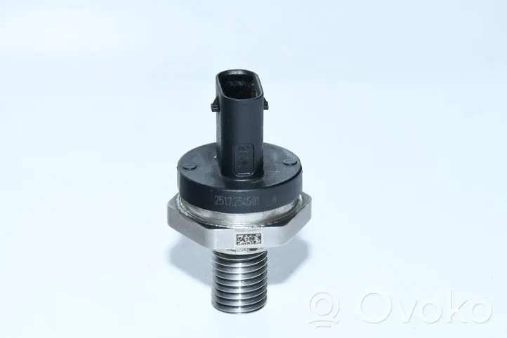 Renault Kadjar Sensor 2517254501