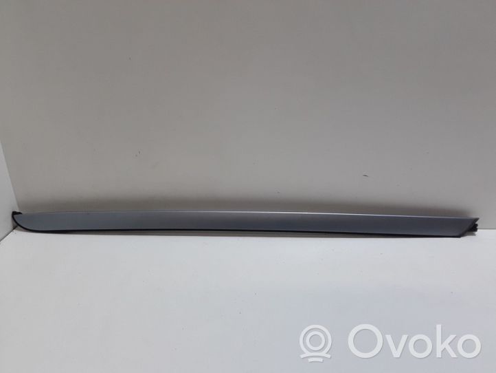 BMW X3 E83 Rivestimento della portiera anteriore (modanatura) 