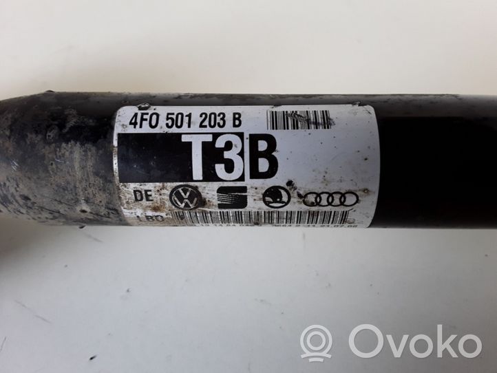 Audi A6 S6 C6 4F Aizmugurējā pusass 4F0501203B