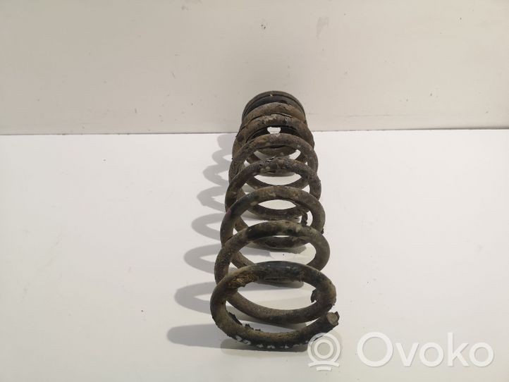 Hyundai Sonata Rear coil spring 