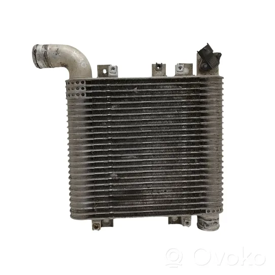 Hyundai Santa Fe Chłodnica powietrza doładowującego / Intercooler 3930084400