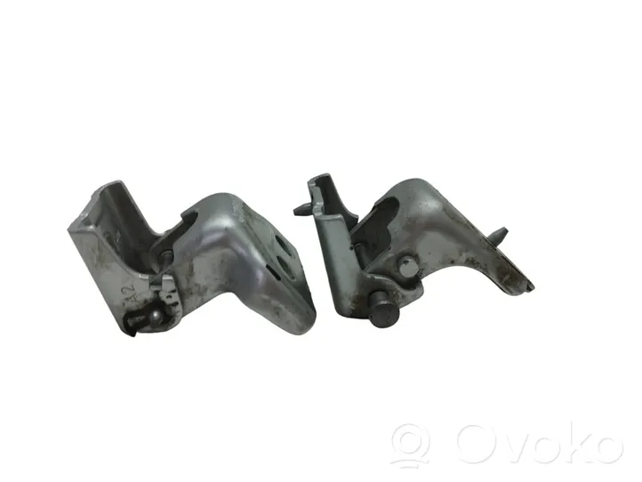 Citroen C3 Set di cerniere portiera posteriore A075091