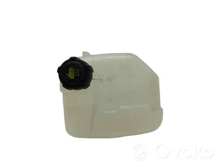 Renault Kangoo II Coolant expansion tank/reservoir 272687341R