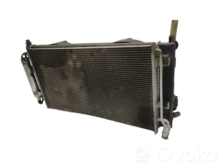 Nissan Leaf I (ZE0) Kit Radiateur A18700A28001