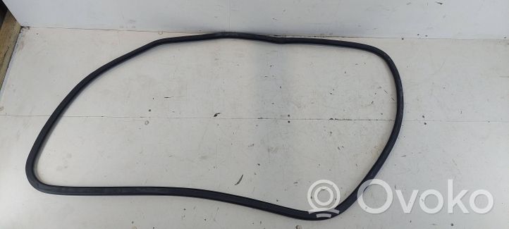 Audi A4 S4 B6 8E 8H Gummidichtung Tür vorne 8E0831721B