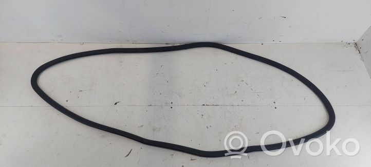 Audi A4 S4 B6 8E 8H Front door rubber seal 8E0831721B