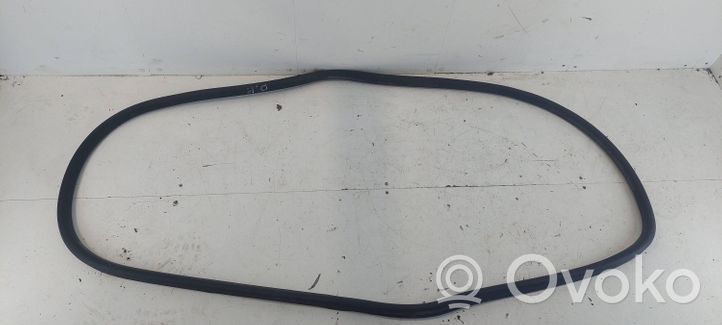 Volkswagen PASSAT B6 Guarnizione in gomma portiera anteriore 3C4867911B