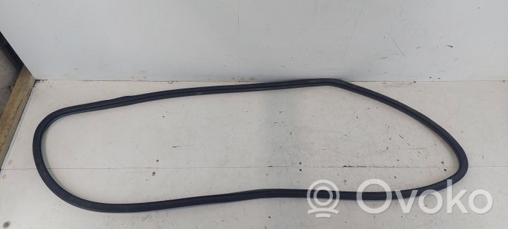 Volkswagen PASSAT B6 Front door rubber seal 3C4867911B