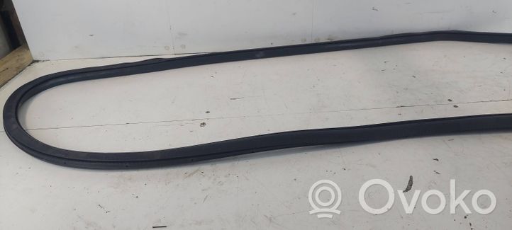 Volkswagen PASSAT B6 Front door rubber seal 3C4867911B