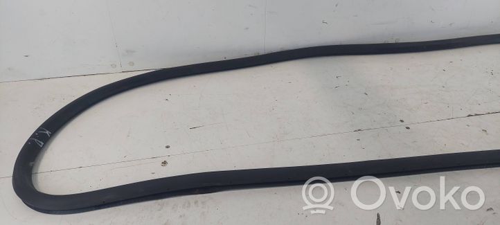 Volkswagen PASSAT B6 Front door rubber seal 3C4867911B