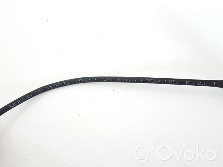 Volvo V70 Vacuum line/pipe/hose 31319631