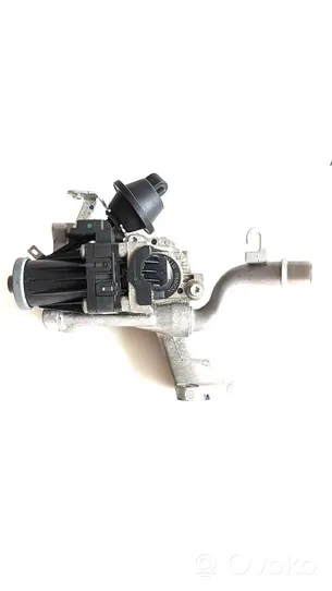 Citroen C4 II EGR valve 9802194080