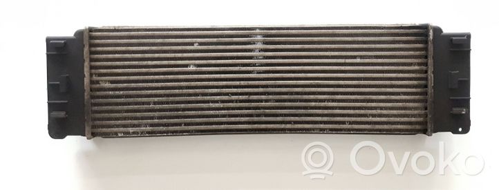 Mercedes-Benz Sprinter W906 Interkūlerio radiatorius A9065010101