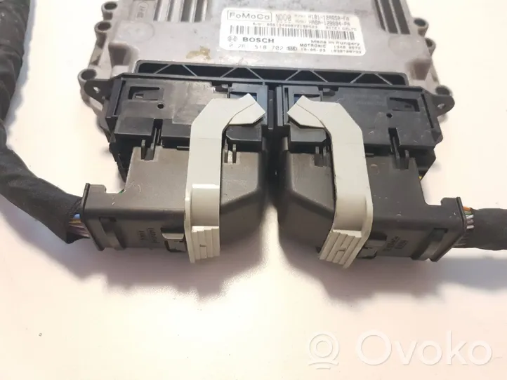 Ford Fiesta Calculateur moteur ECU H1B112A650FA