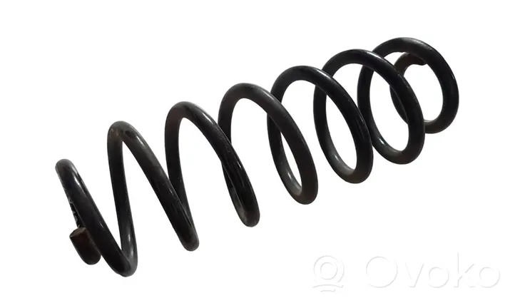 Volkswagen Tiguan Rear coil spring 