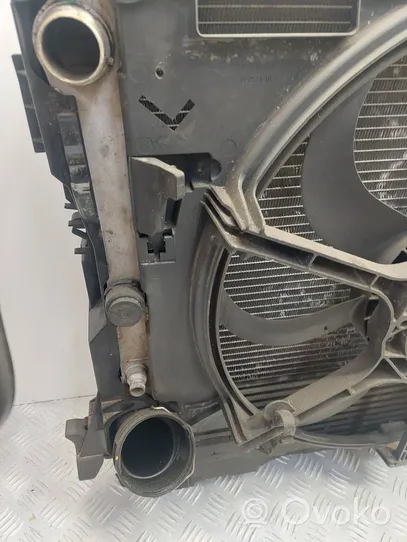 BMW X5 E70 Set del radiatore 7796572