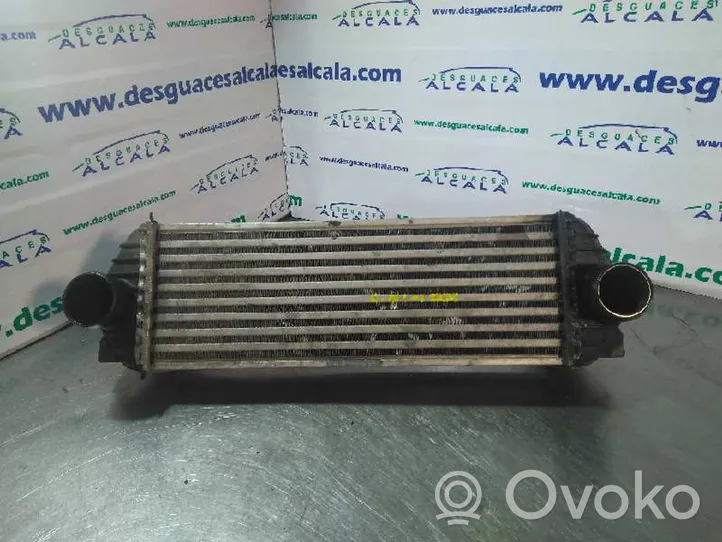 Ford Tourneo Starpdzesētāja radiators 