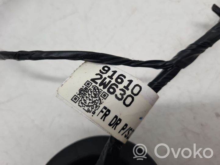 Hyundai Santa Fe Cableado de puerta delantera 916102W630