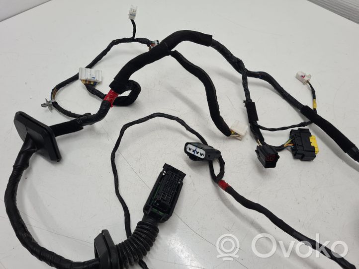 Hyundai Santa Fe Cableado de puerta delantera 916012W040