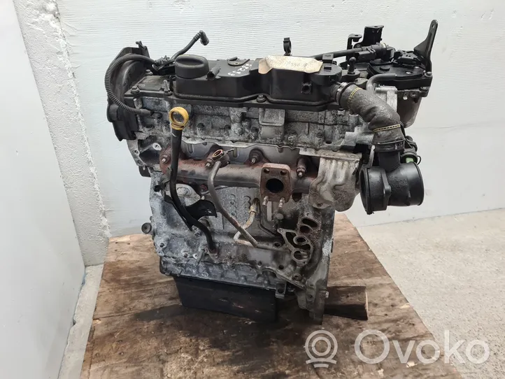 Ford Focus Engine T1DB