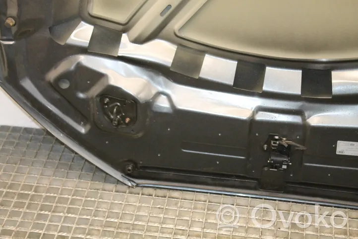 Audi Q3 8U Engine bonnet/hood 