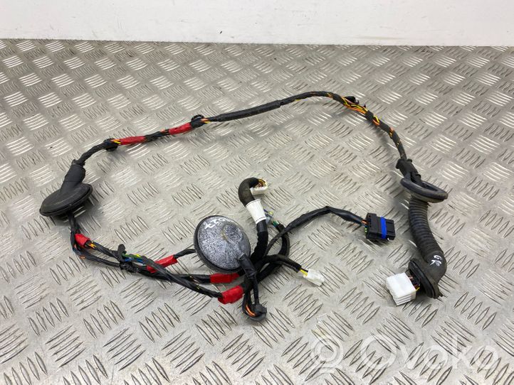 Hyundai Santa Fe Rear door wiring loom 916502B010