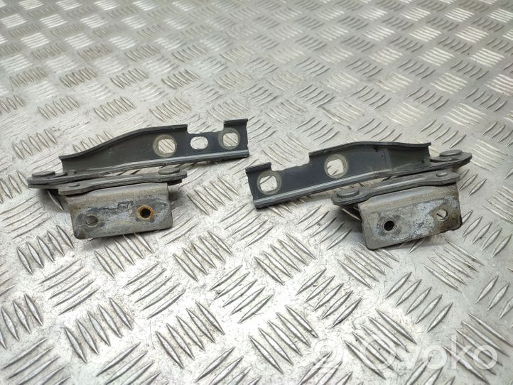 Seat Exeo (3R) Vyris (-iai) variklio dangčio 3R0823302A