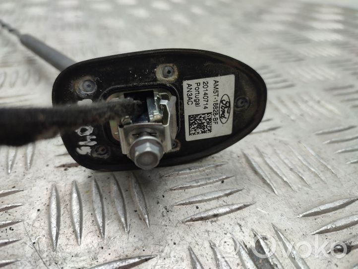 Ford C-MAX II Radio antena AM5T18828BF