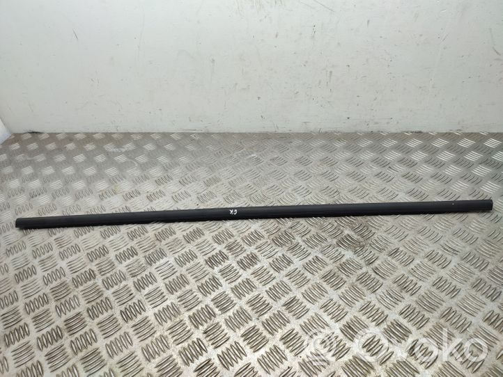 Volkswagen Golf Sportsvan Rear door glass trim molding 