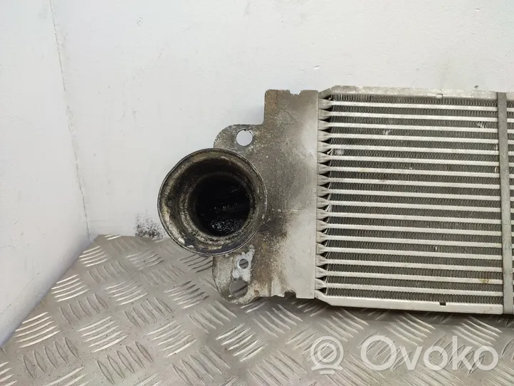 Volkswagen Transporter - Caravelle T5 Radiatore intercooler 