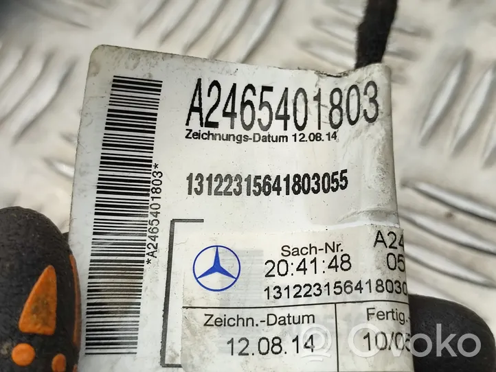 Mercedes-Benz A W176 Faisceau de câblage de porte arrière A2465401803