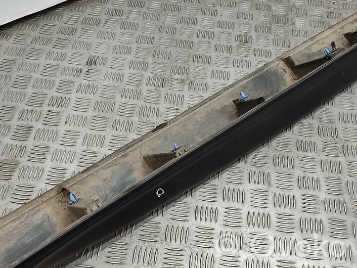 Citroen C4 Cactus Sill 