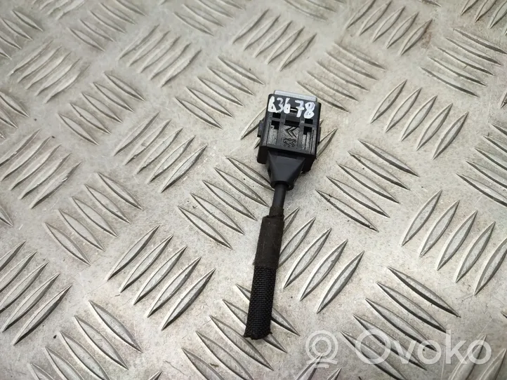 Citroen C4 Cactus Enchufe conector USB 