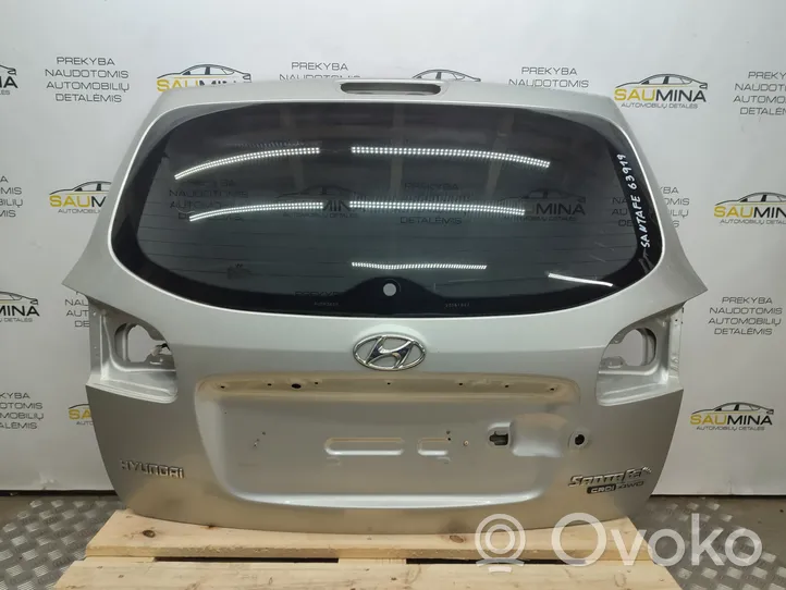 Hyundai Santa Fe Galinis dangtis (bagažinės) 