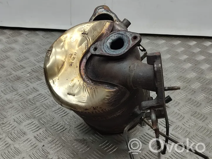 Nissan Qashqai Katalysaattori/FAP/DPF-hiukkassuodatin 1096008X