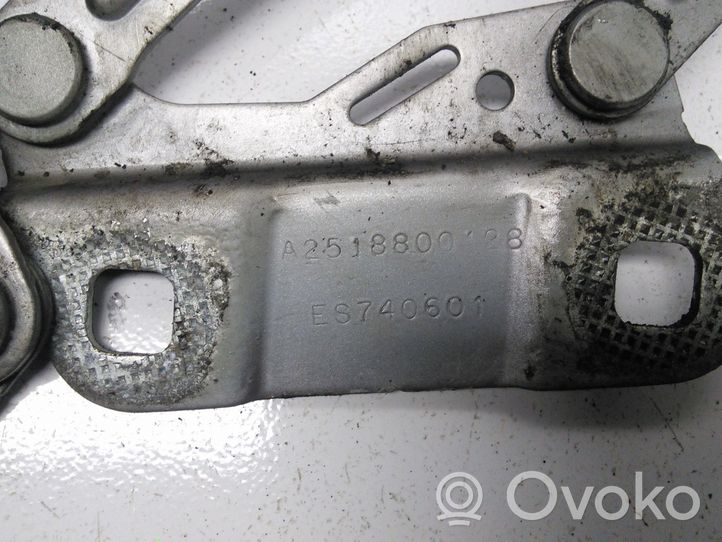 Mercedes-Benz ML W163 Cerniere del vano motore/cofano A2518800128