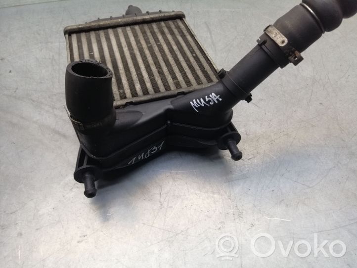 Lancia Musa Chłodnica powietrza doładowującego / Intercooler 847850000