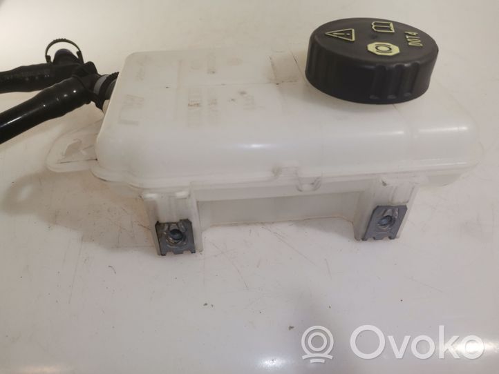 Opel Vivaro Brake fluid reservoir 460913647R