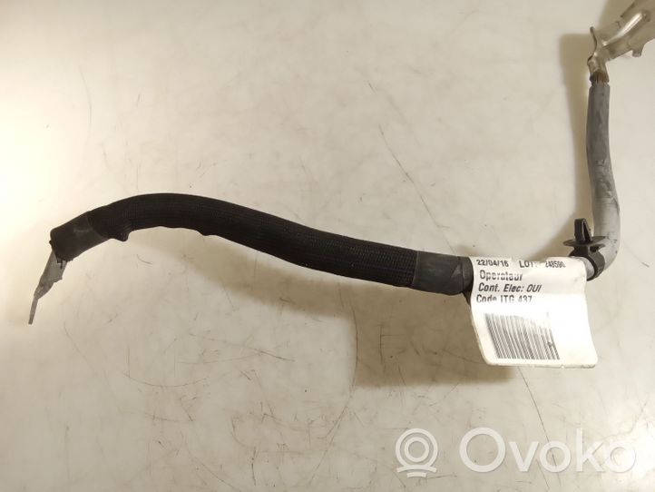 Opel Vivaro Cavo negativo messa a terra (batteria) 240800232R