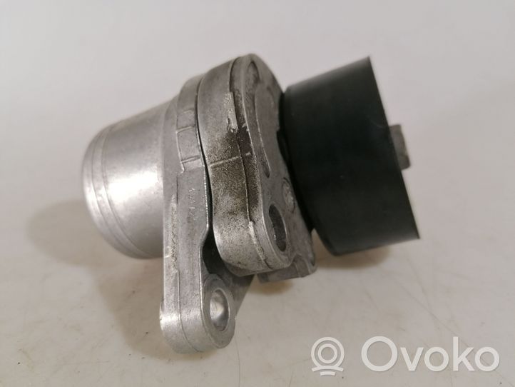 Opel Movano B Diržo įtempėjas 117507568R