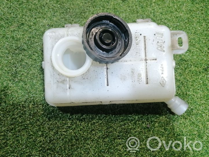 Opel Vivaro Brake fluid reservoir 93459234