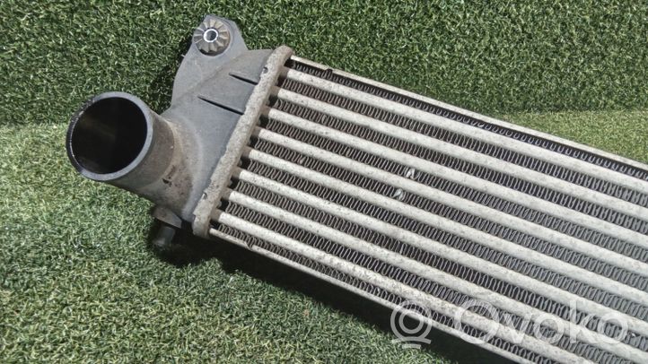 Suzuki SX4 Chłodnica powietrza doładowującego / Intercooler 1362079J51