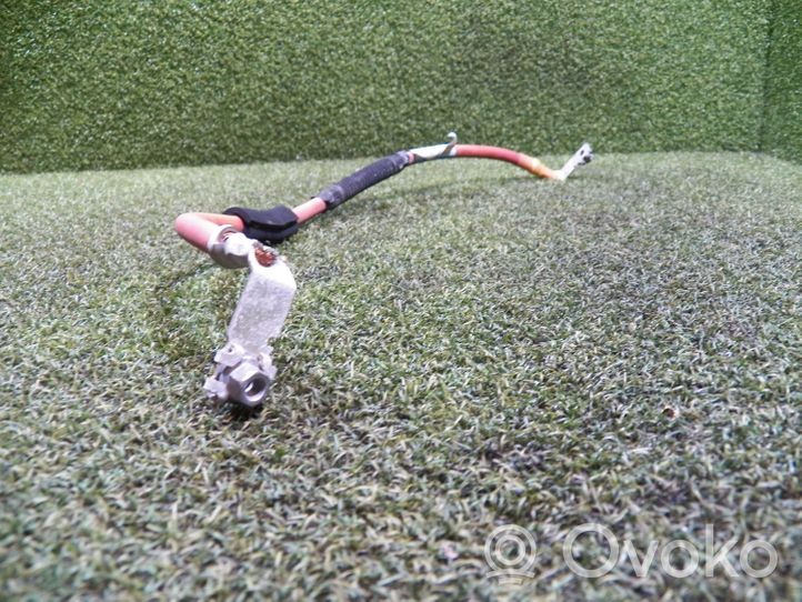 Renault Trafic III (X82) Positive cable (battery) 240809677R